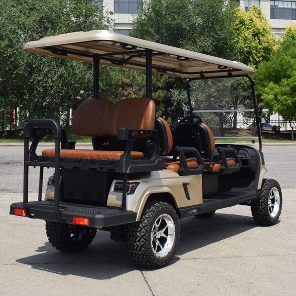 6 seater utility golf cart E4C golden - 图片 5