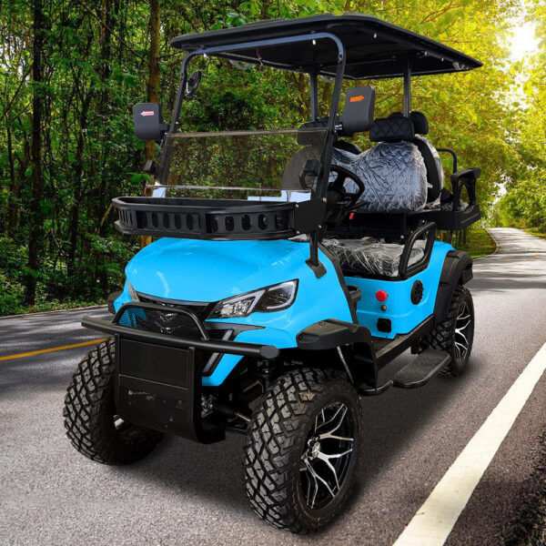 6 seater utility golf cart R4C celeste