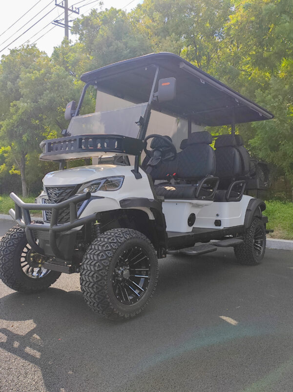 golf cart KC Model - 图片 4