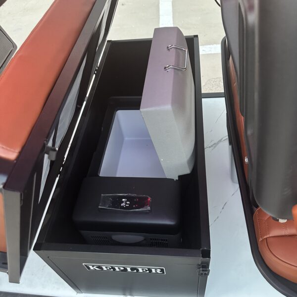 Business-class golf cart-New product development-best quality-best price - 图片 3