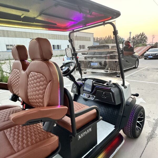 Business-class golf cart-New product development-best quality-best price - 图片 8