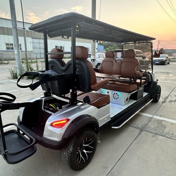 Business-class golf cart-New product development-best quality-best price - 图片 3