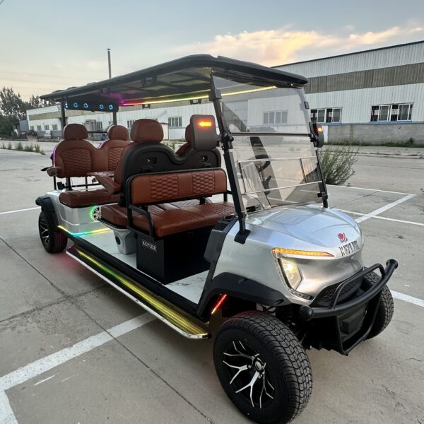 Business-class golf cart-New product development-best quality-best price - 图片 2