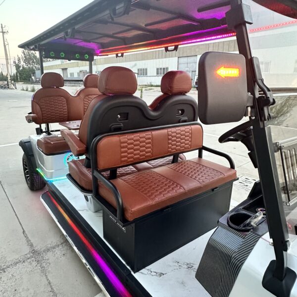Business-class golf cart-New product development-best quality-best price - 图片 4