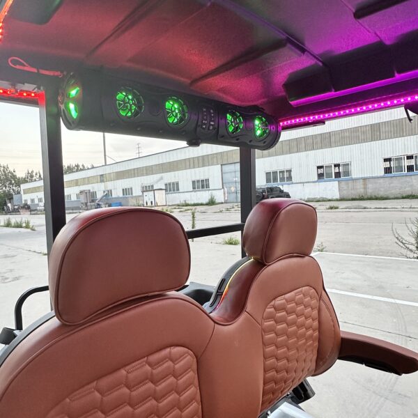 Business-class golf cart-New product development-best quality-best price - 图片 7