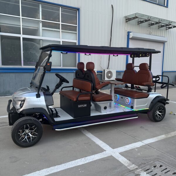Business-class golf cart-New product development-best quality-best price - 图片 5