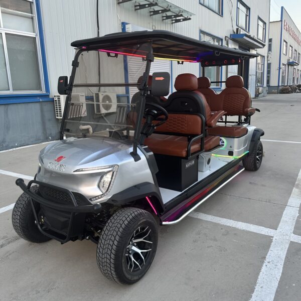 Business-class golf cart-New product development-best quality-best price - 图片 10