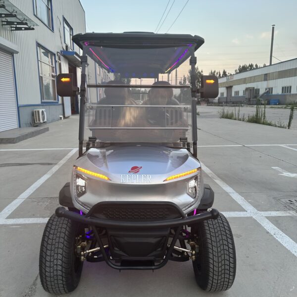 Business-class golf cart-New product development-best quality-best price - 图片 9