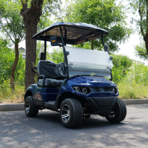 BFF Kepler The highest quality golf carts