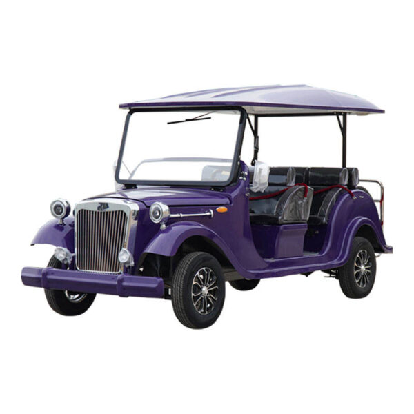 BFF Kepler's highest quality vintage car