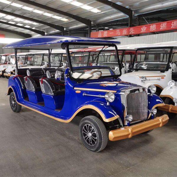 BFF Kepler's highest quality vintage car
