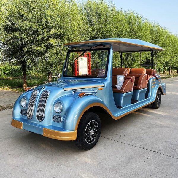 BFF Kepler's highest quality vintage car - 图片 6