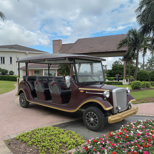 BFF Kepler's highest quality vintage car