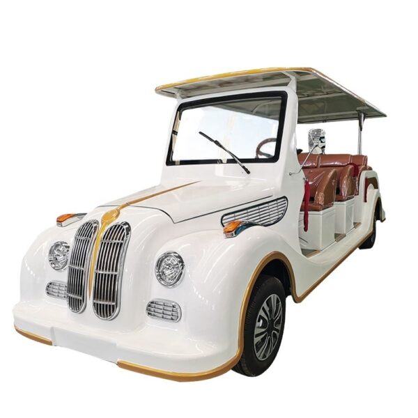 BFF Kepler's highest quality vintage car