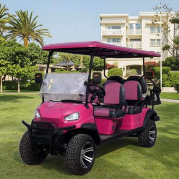 BFF Kepler The highest quality golf carts - 图片 2