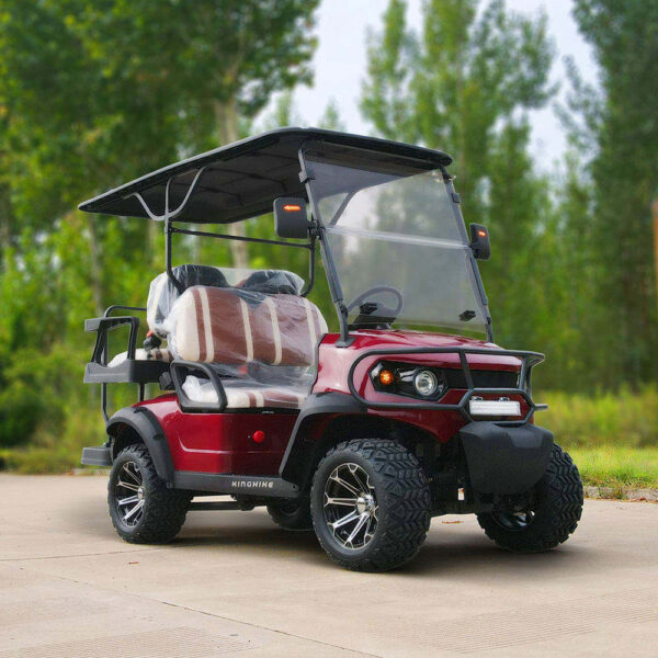 BFF Kepler The highest quality golf carts - 图片 2