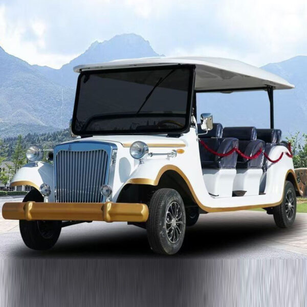 BFF Kepler's highest quality vintage car - 图片 2