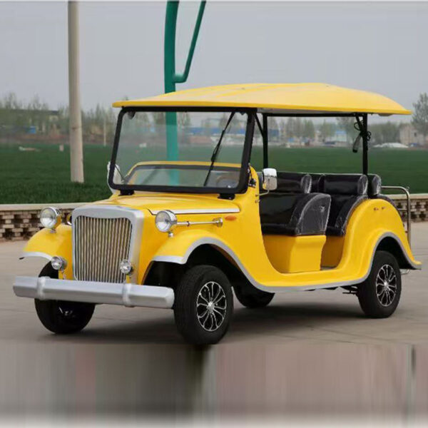 BFF Kepler's highest quality vintage car - 图片 2