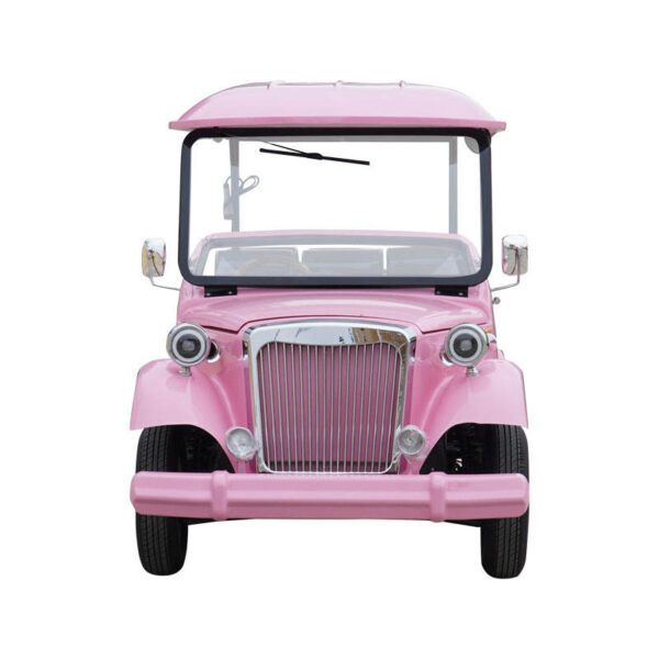 BFF Kepler's highest quality vintage car - 图片 2