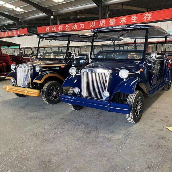 BFF Kepler's highest quality vintage car - 图片 2