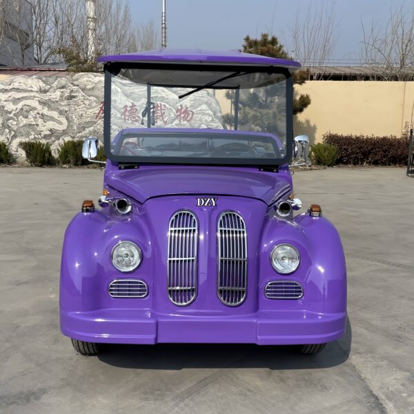 BFF Kepler's highest quality vintage car - 图片 2