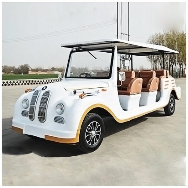 BFF Kepler's highest quality vintage car - 图片 2