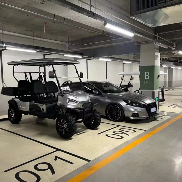 BFF Kepler The highest quality golf carts - 图片 2