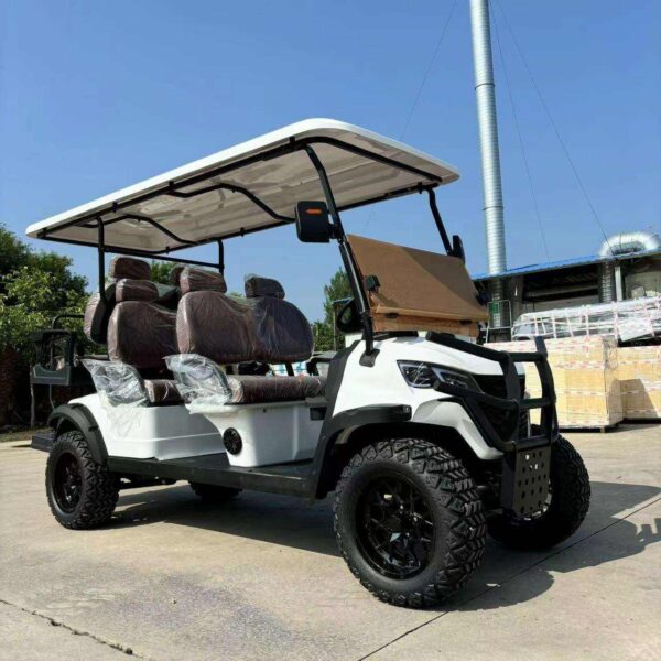 BFF Kepler The highest quality golf carts - 图片 2