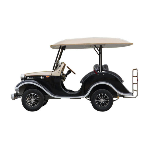 BFF Kepler's highest quality vintage car - 图片 3