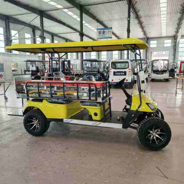 BFF Kepler The highest quality golf carts - 图片 2