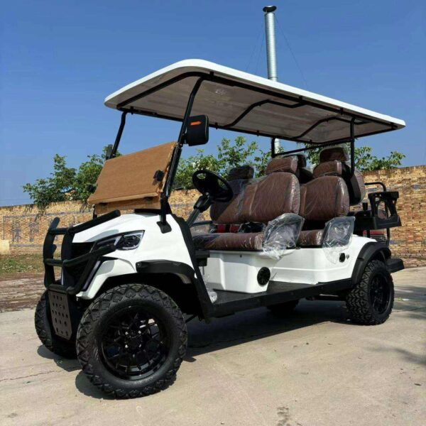 BFF Kepler The highest quality golf carts - 图片 3