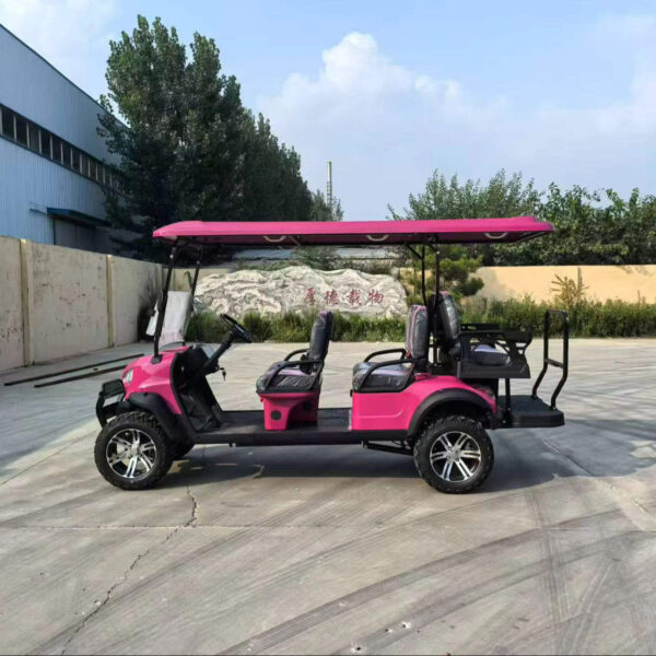 BFF Kepler The highest quality golf carts - 图片 3