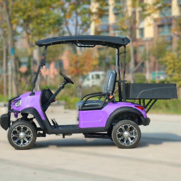 BFF Kepler The highest quality golf carts - 图片 3