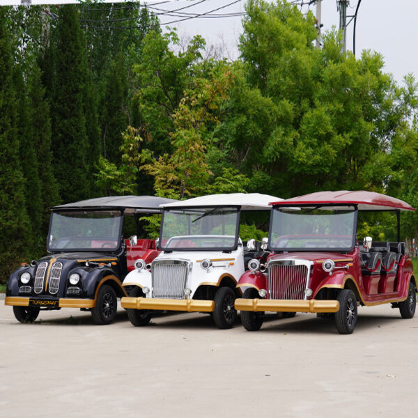 BFF Kepler's highest quality vintage car - 图片 3
