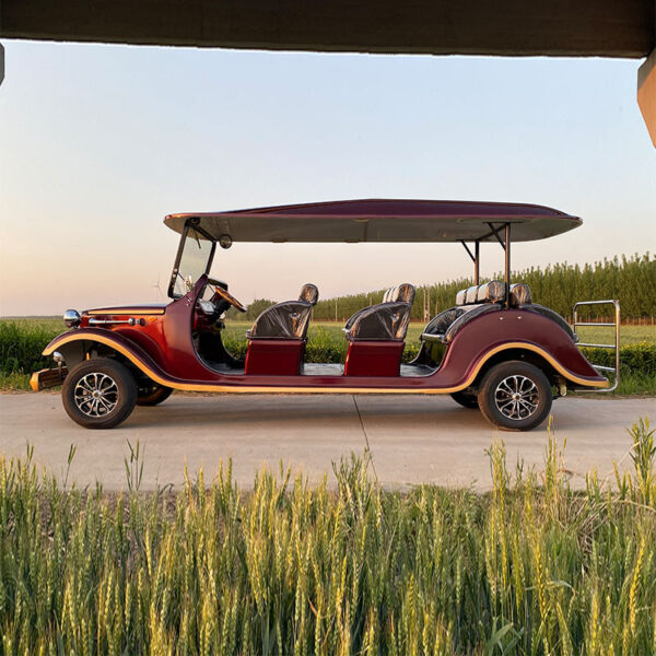 BFF Kepler's highest quality vintage car - 图片 5
