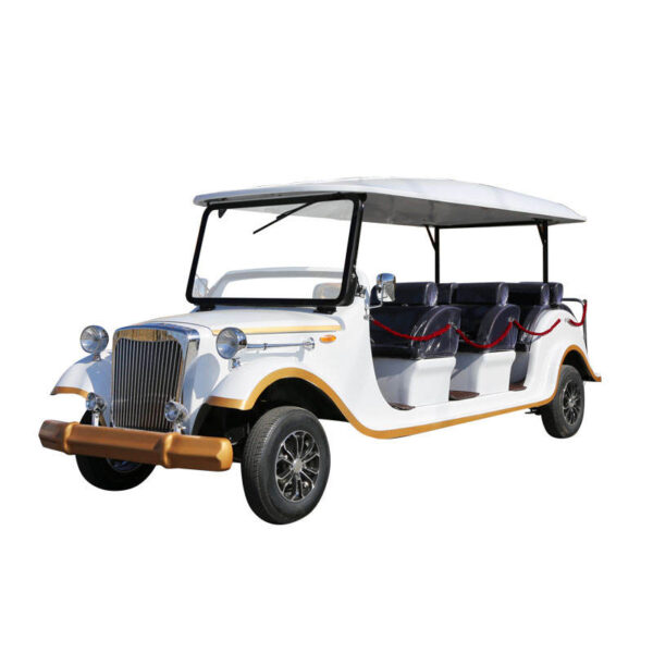 BFF Kepler's highest quality vintage car - 图片 3