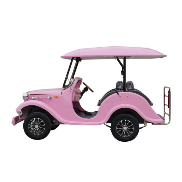 BFF Kepler's highest quality vintage car - 图片 3