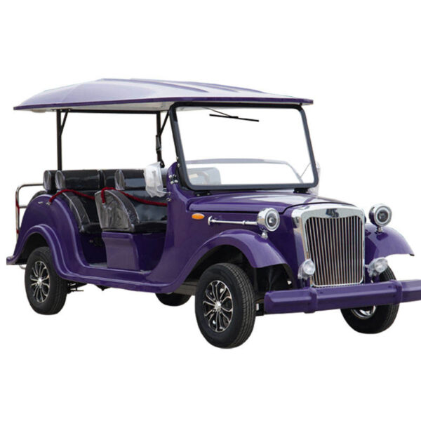 BFF Kepler's highest quality vintage car - 图片 3