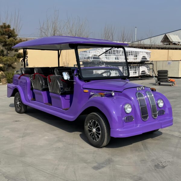 BFF Kepler's highest quality vintage car - 图片 3
