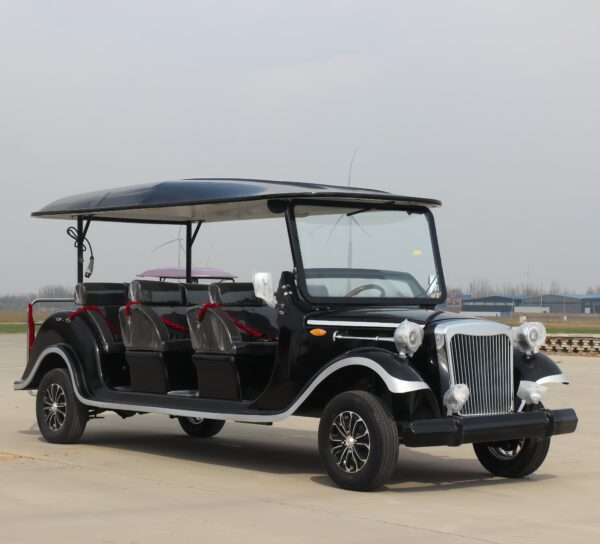 BFF Kepler's highest quality vintage car - 图片 3