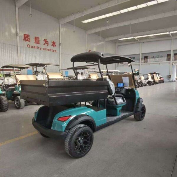 BFF Kepler The highest quality golf carts - 图片 2