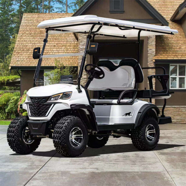 BFF Kepler The highest quality golf carts - 图片 2