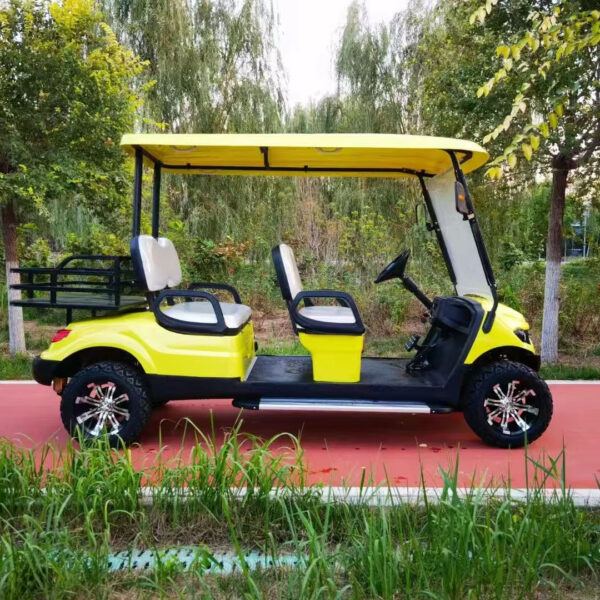 BFF Kepler The highest quality golf carts - 图片 4