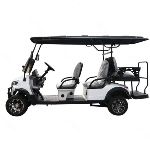 BFF Kepler The highest quality golf carts - 图片 4