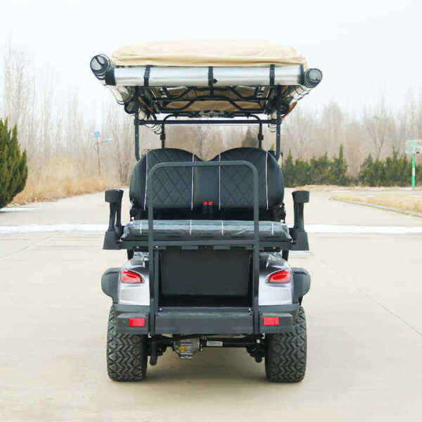 BFF Kepler The highest quality golf carts - 图片 4