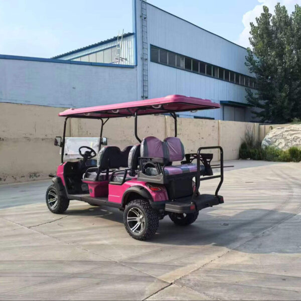 BFF Kepler The highest quality golf carts - 图片 4