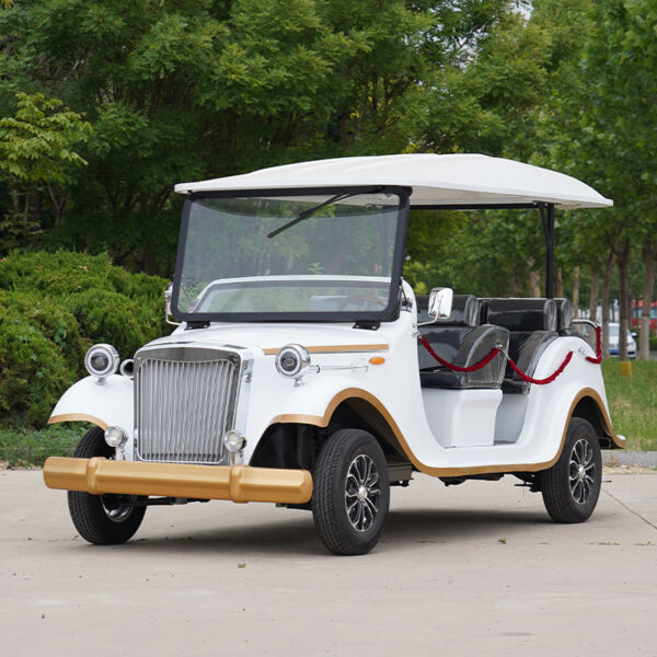 BFF Kepler's highest quality vintage car - 图片 4
