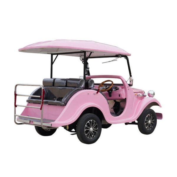 BFF Kepler's highest quality vintage car - 图片 4