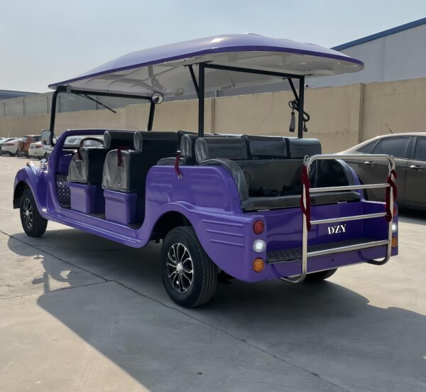 BFF Kepler's highest quality vintage car - 图片 4