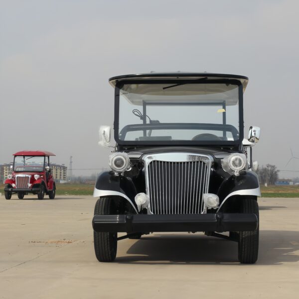 BFF Kepler's highest quality vintage car - 图片 4